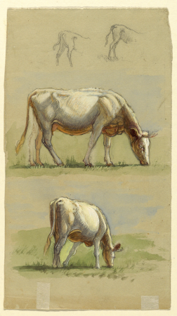 Drawing, Cattle, Two Grazing Cows and the Backs of Calves, 1875–80, Samuel Colman, 1875–80