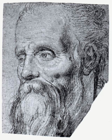 Head of an Old Bearded Man, Simone Peterzano, between 1578 and 1582