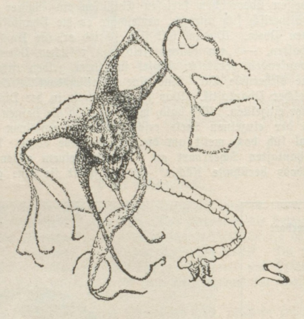 Paul Scheerbart Figur 1908, Paul Scheerbart