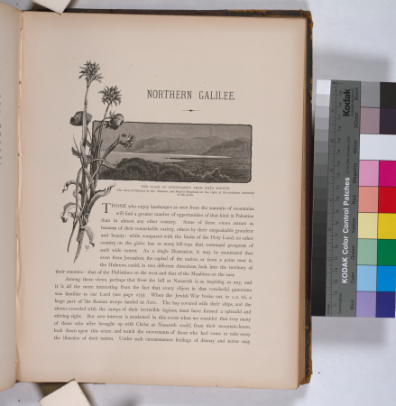 The Plain of Gennesaret, from Khân Minyeh. The town of Tiberias in the distance, and Mejdel (Magdala) on the right, at the southern extremity of the plain, 1881