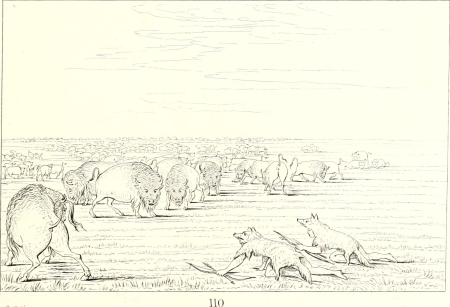 Illustrations of the manners, customs, and condition of the North American Indians - with letters and notes written during eight years of travel and adventure among the wildest and most remarkable (14779529491), 1857
