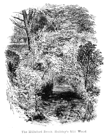 The New Forest its history and its scenery - page 039, 1862