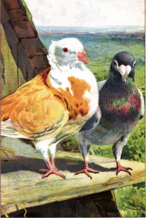 E. Stuart Hardy 1, E. Stuart Hardy