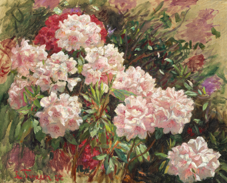 Flowering rhododendrons in Tuxen's garden in Skagen, Laurits Tuxen, 1911