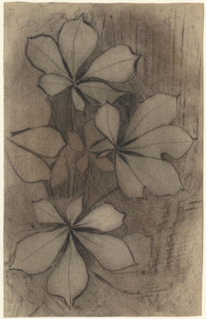 Kastanjebladeren, RP-T-1969-169, Theo Nieuwenhuis, between 1876 and 1951