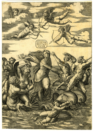 Marcantonio - Galatea, standing in a large shell drawn by two dolphins swimming to the right, accompanied by tritons, nereids and a cupid, V,6.86, Marcantonio Raimondi