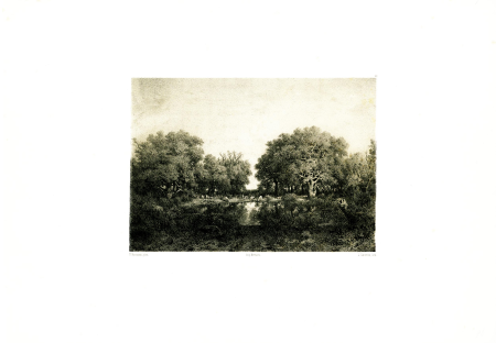 Memory of the Chambord forest, Jules Laurens, circa 1850