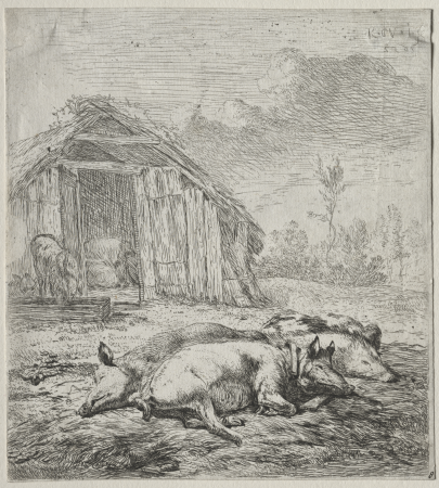 Three Swine Lying in Front of a Sty, Karel Dujardin