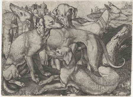 Vijf jachthonden, RP-P-OB-66.974, Johannes Wierix, between 1559 and 1563