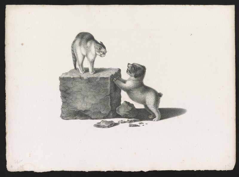 Domestic cat standing on a block and a puppy with its front paws on the block LCCN2012645549, Gottfried Mind, between 1820 and 1860