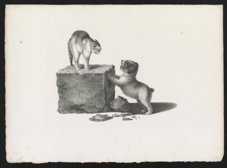 Domestic cat standing on a block and a puppy with its front paws on the block LCCN2012645549, Gottfried Mind, between 1820 and 1860