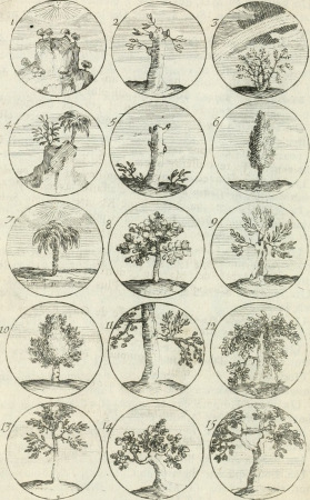 Livre curieux et utile pour les sçavans et artistes - composé de trois alphabets de chiffres simples, doubles and triples, fleuronnez et au premier trait - accompagné d'un tres grand nombre de (14766693163), 1685