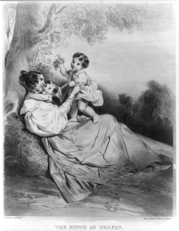 The bunch of grapes LCCN2003681607, between 1831 and 1833