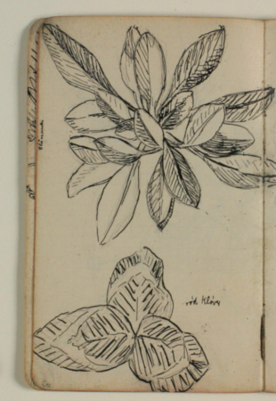 Plant studies, one a red clover, Niels Larsen Stevns