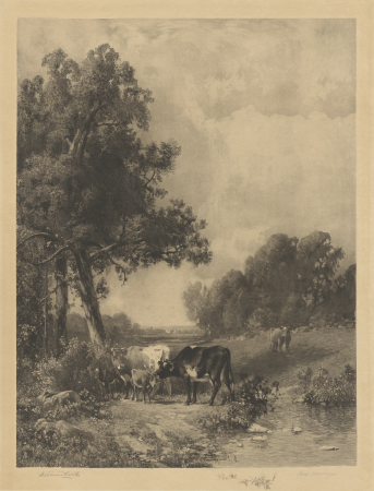 Untitled (Cows And Calves By A Stream), Robert A. Eichelberger, 1889