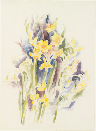Small Daffodils, Charles Demuth, circa 1914