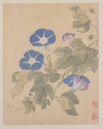 "Yun Shouping's Book of Flowers and Birds", Yun Shouping