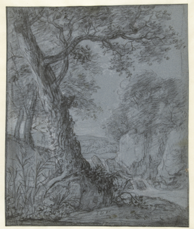 Tree in a hilly landscape with a waterfall and rocks, Simon de Vlieger, between 1610 and 1653