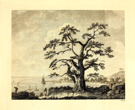 A View of Matavia Bay in Otaheite ... from One Tree Hill, John James Barralet, 1773