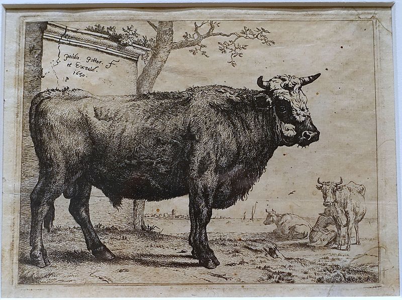 The Bull, from the Series of Various Oxen and Cows, by Paulus Potter, Netherlands, 1650, etching on paper, early proof preceding first state - Blanton Museum of Art - Austin, Texas - DSC08439