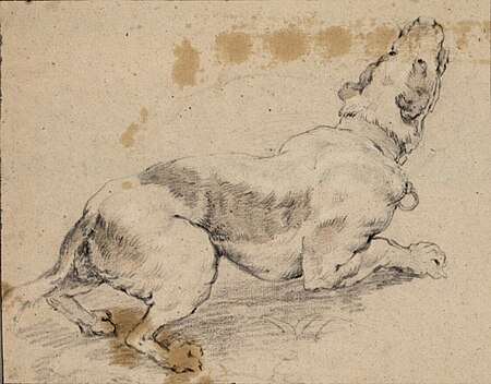 Crouching hound, Frans Snyders, between 1600 and 1657