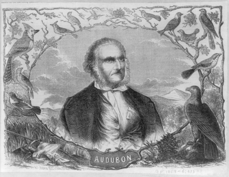 John James Audubon, 1785-1851, head-and-shoulders portrait, facing right in oval memorial portrait fringed by bird vignettes LCCN2005689323, John James Audubon, 1854