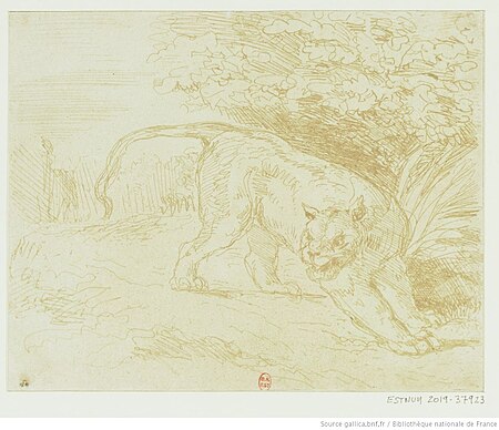 Delacroix - Tigre en arrêt, 1er état, btv1b100298671, Eugène Delacroix