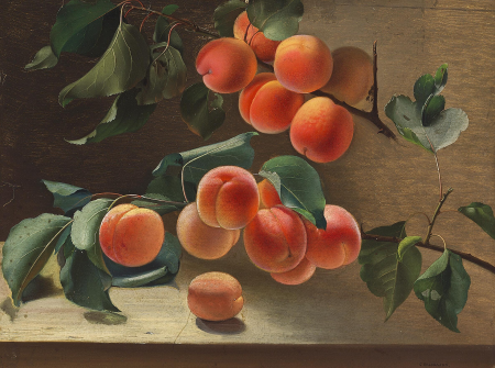 Apricots on a branch., Carl Balsgaard, between 1830 and 1893