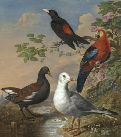 A Moorhen, a Gull, a Scarlet Macaw and Red-Rumped a Cacique by a Stream in a Landscape, Philip Reinagle