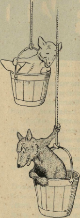 Zhizn hitrolisa 0104, published at 1910