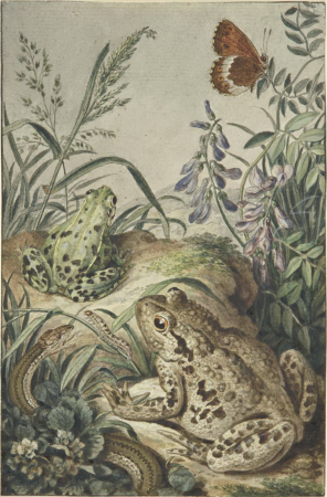 Johann Rudolf Schellenberg - Wiesenstück, Johann Rudolph Schellenberg, circa 1795