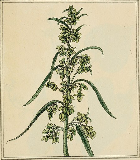 Elements of the science of botany, as established by Linnaeus; with examples to illustrate the classes and orders of his system (1812) (20642464914)