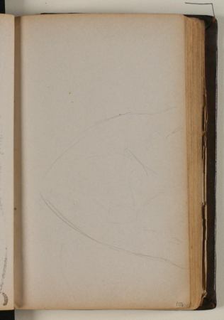 Studie af brun bjørn, Niels Larsen Stevns