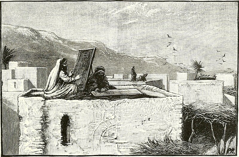 Ridpath's Universal history - an account of the origin, primitive condition and ethnic development of the great races of mankind, and of the principal events in the evolution and progress of the (14781241241), Paul Hardy, 1897
