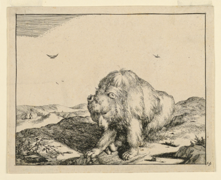 Print, Seated Bear, from a Set o, 1664, Marcus de Bye