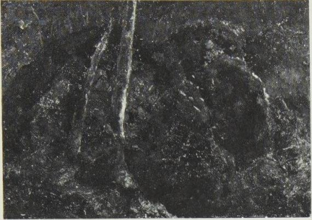 Böcklin - Andree, Kat. 040, Arnold Böcklin