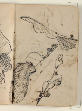 Skitser af egeblade, Niels Larsen Stevns