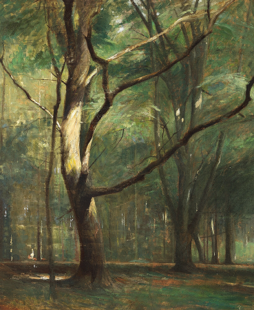 Forest view with the sun shining on the trunk of a tree., Peter Ilsted, between 1879 and 1933