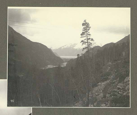 Skagway River and Canyon from the White Pass and Yukon Railroad, Alaska, June 1899., Taken on 1 June 1899