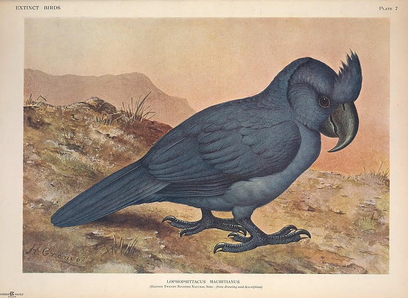 Extinct birds - an attempt to unite in one volume a short account of those birds which have become extinct in historical times - that is, within the last six or seven hundred years - to which are (14752515105), 1907