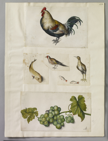 Alexander Marshal (RCIN 924425), Alexander Marshal