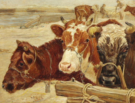 Three cows waiting for disembarkment to Saltholm, Theodor Philipsen, 1899