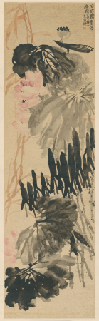 "Wu Changshuo's Lotus Scroll", Wu Chang-shuo, 1905