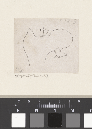 Contour van een menselijk bot met een afwijking, RP-P-OB-30.537, Isaac Weissenbruch, between 1836 and 1912