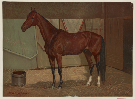 C. Lingstone LCCN2003653253, Nicholas Winfield Scott Leighton, 1882