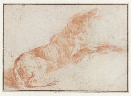 Half opgerichte hond, RP-T-00-38, between 1630 and 1683
