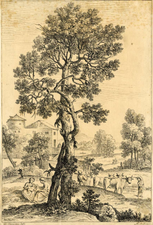 Louisa Augusta Greville (after A. Carracci) - Landscape with a large tree, Annibale Carracci, 1760