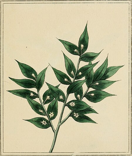Elements of the science of botany, as established by Linnaeus; with examples to illustrate the classes and orders of his system (1812) (21077267318)