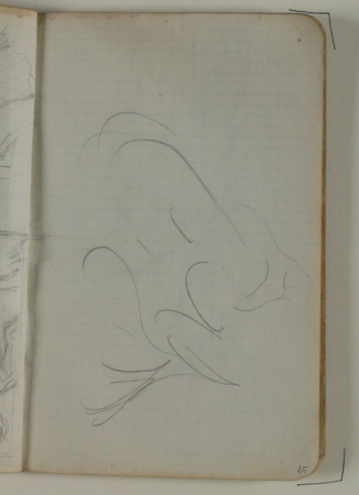 Løse rids, Niels Larsen Stevns