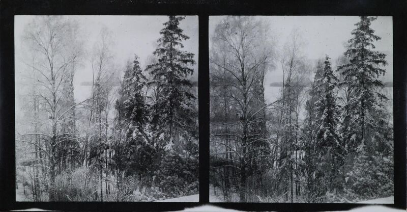 Stereoscopic photograph from Linudd with a southwest view towards Laajalahti. Today Laajalahti is a rapidly developing area in Espoo, Finland. At the time this picture was taken the area was still (34216749903), Akseli Gallen-Kallela